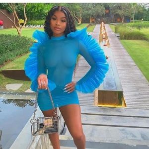 Fordamrowe Sheer Dress